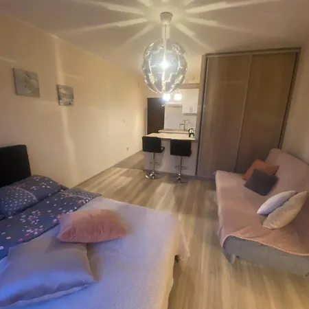 Srodmiescie 公寓 *