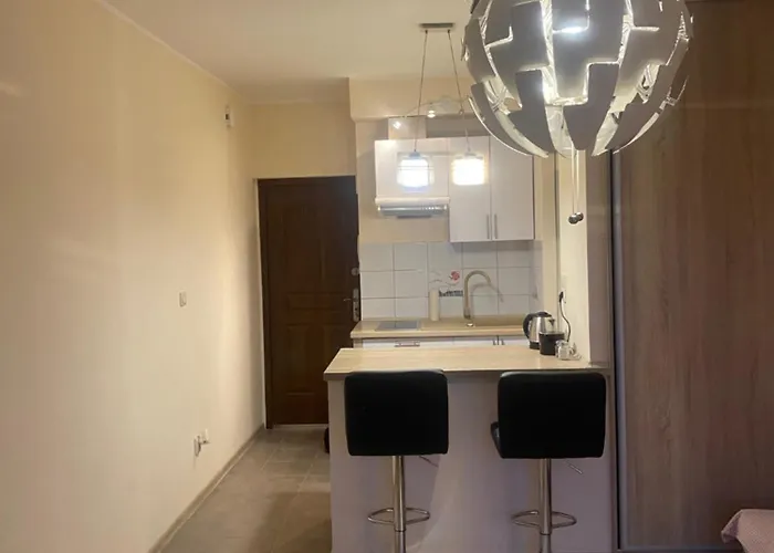 Srodmiescie Apartman *
